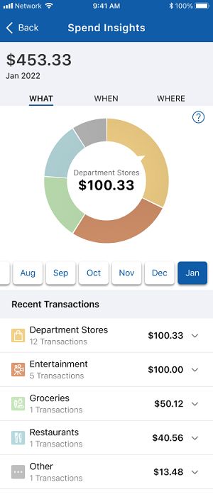 Mobile screen showing a finance app with spend insights, a pie chart, and recent transactions for January