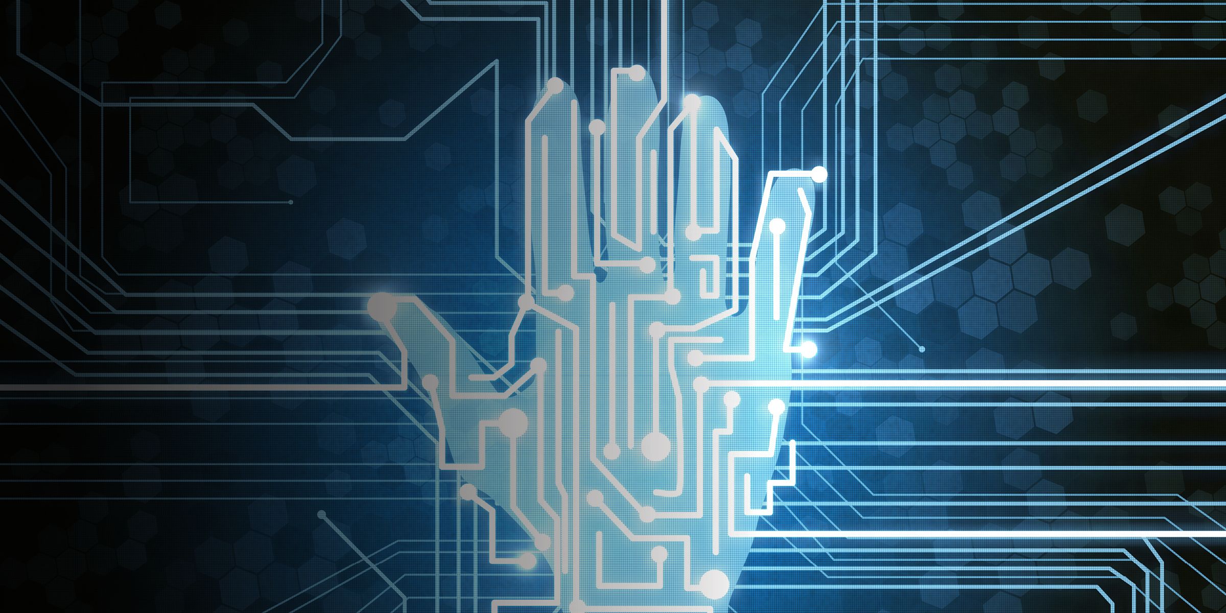 Hand digital scan for ID